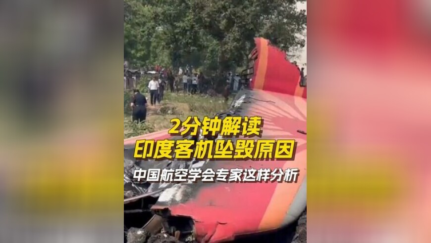 张本智和赛后与教练相拥而泣,2025年香港六合1肖中特,决策资料解释落实_HarmonyOSV4.56